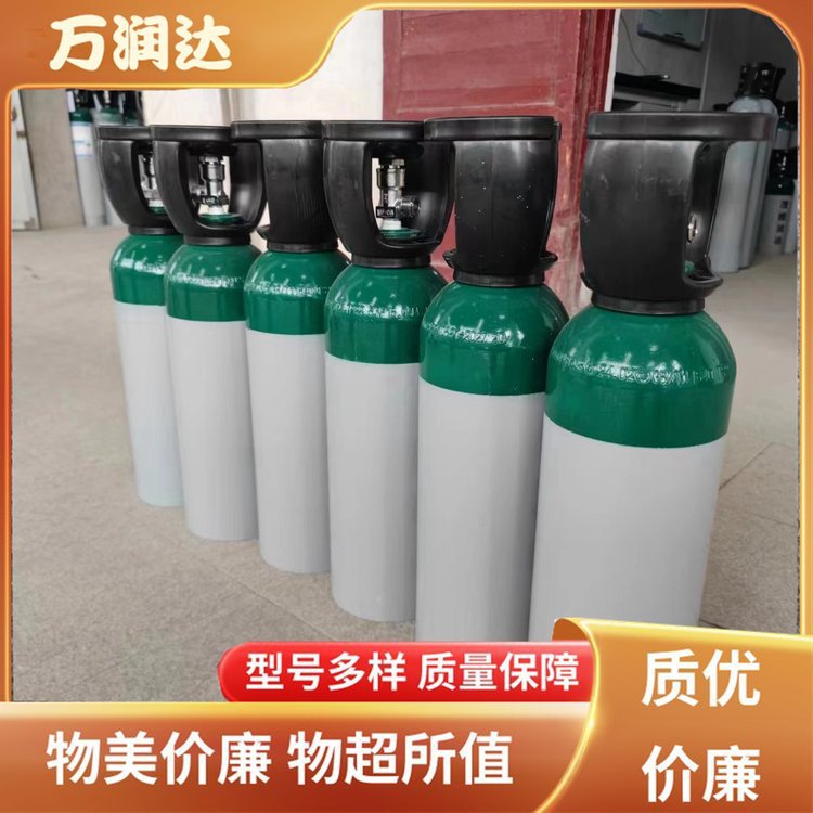 环境监测工业标准气厂家 标准高纯气体 快速配货 万润达g