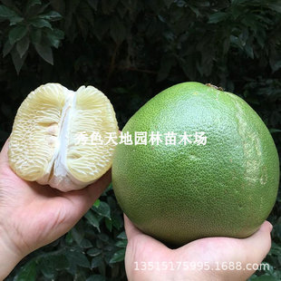 �t��ʯ������޽����Ә�����Ʒ���_�t�ּt�����ӎ������~ͥԺ����