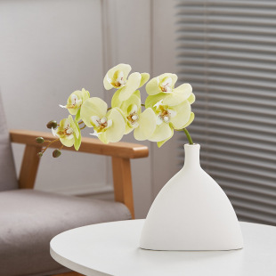 �����մɻ�ƿ�[��ins�����LС���߼��п͏d�廨���P�ҕ���b�Ʒ