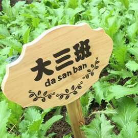 木牌子公园菜园菜地木质草地种植区指示牌立式插地牌爱护花草