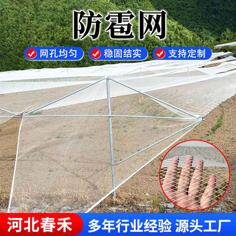 Orchard Fruit Tree Anti-hail Net Grape Cherry Crescent-shaped Anti-hail Net Anti-bird Net Encrypted Thickened Agricultural Protection Net