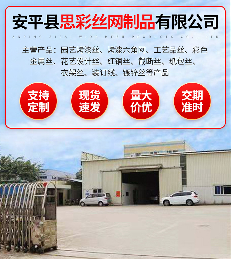 彩色金属丝详情_01