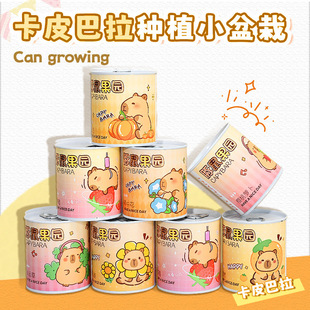 ��Ƥ����������ֲ�����ԃ�ͯ���նY��W����Ʒ�҃�����NֲС����