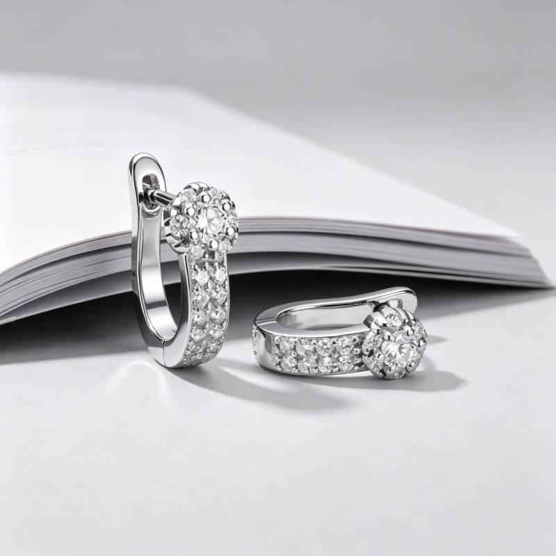 Cross-border new U-shaped zircon earrings, stylish and chic, with a unique and niche design, versatile geometric earrings for wholesale