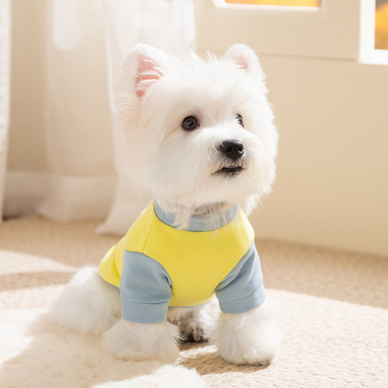 狗狗衣服卡通小狗可牵引秋冬季薄款卫衣中小型犬泰迪比熊宠物衣服|undefined