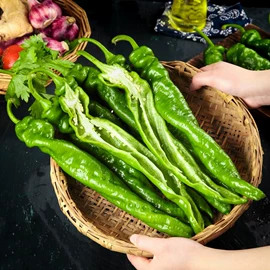 其他药食同源;花果茶;普洱茶
