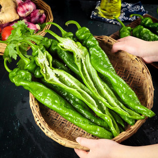 �������r��������Ƥ����С��Ƥ�r���ԷN�߲ˬFժ�F�l