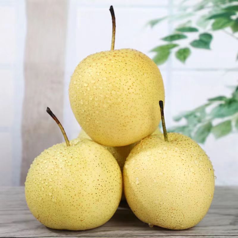 【순중량 2.5kg】중국 과일은 경제적이고 저렴합니다.