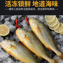 �O����~���u������S���~ 2000g 4�l ���rˮ�a ����ʳ�� 4��4�l