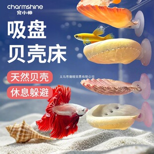 ���~��Ϣ����Ȼؐ����С���~��ܮa��˯�X���~���쾰�b[�ȫ��