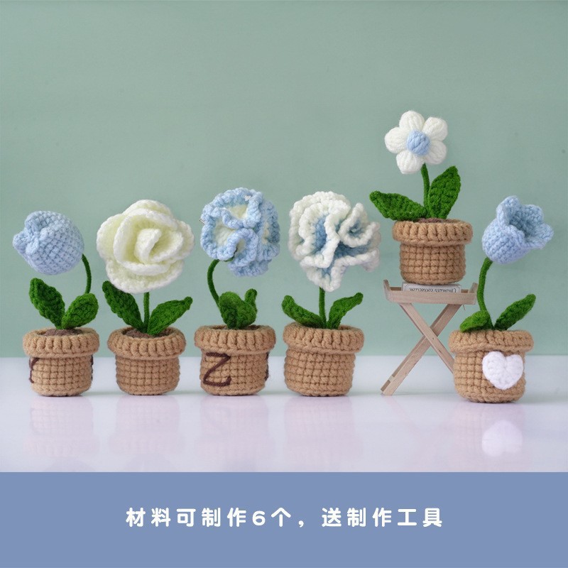 Small potted plant-blue