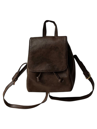 Small and Retro Brown Double Shoulder Bag for Women, 2024 Spring New Ins Simple and Versatile Crossbody Bag