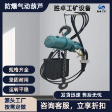 定制防爆气动葫芦 提升平稳起重运输 工厂定制矿用防爆气动葫芦
