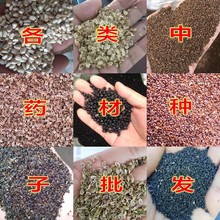 ��һ�����l���в�ș�N�� ���{�� �˅��h�����w���y�������ζ�ӷN