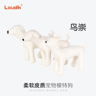 �S�����l�F؛����ģ�ط��bչʾ����ģ�͵���������СȮ