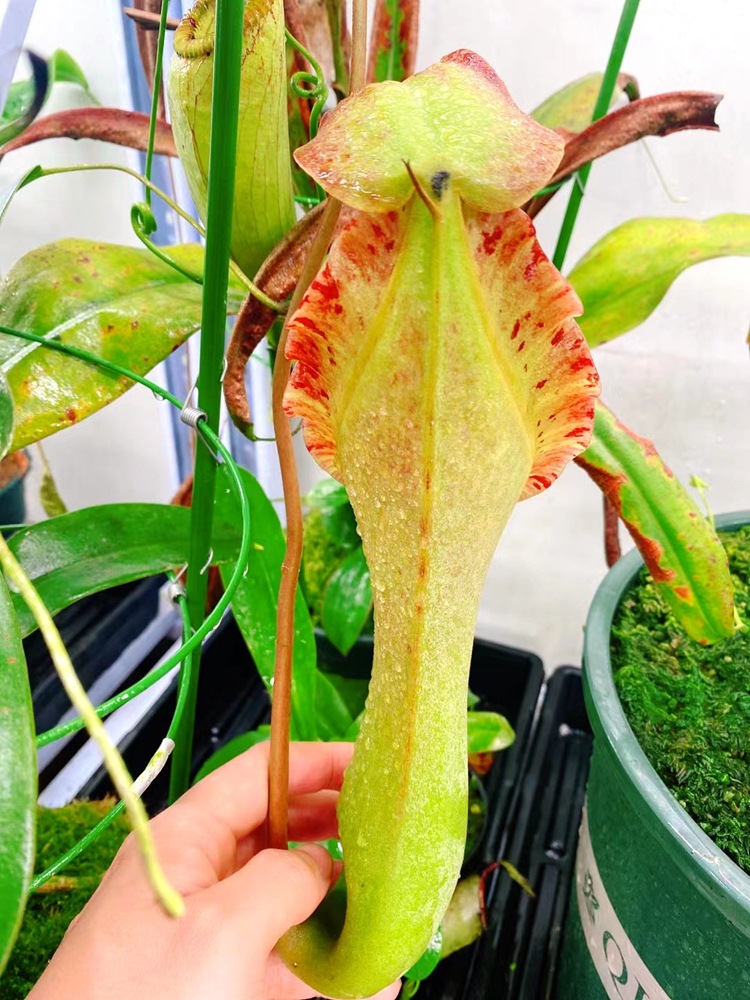 微信图片_20210520114049