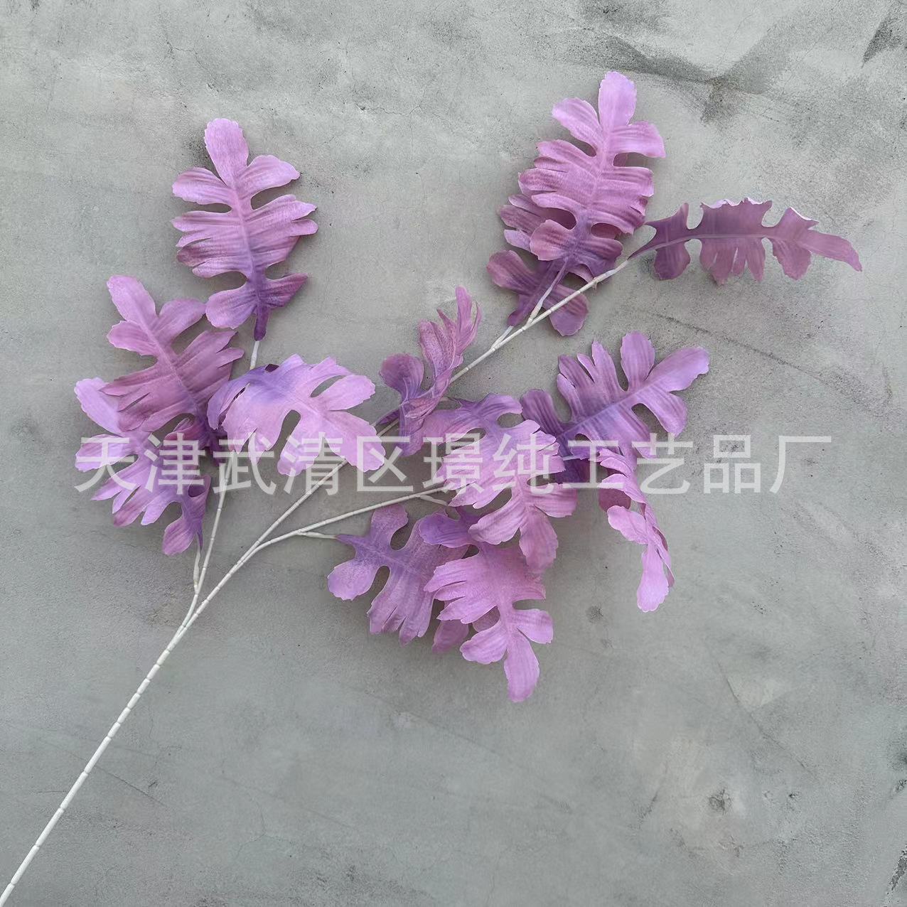 보라색