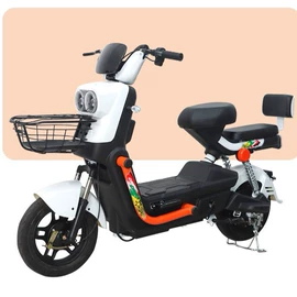 电动自行车;电动三轮车;电动摩托车