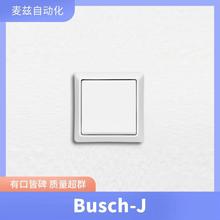 Busch-Jaeger {_P ضȿ2CSK1164CH