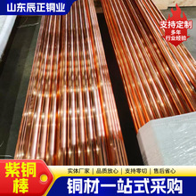 现货T2紫铜棒高导电接地用铜棒高纯度无氧大口径紫铜棒TU2紫铜棒