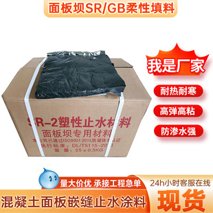 ˮ�����̉��wGB�������� SR-2���ϴ������ʩ��Ƕ�p�����ܷ��z