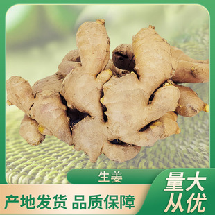 批发代发跨境山东大块姜泥姜老姜鲜姜生姜-阿里巴巴