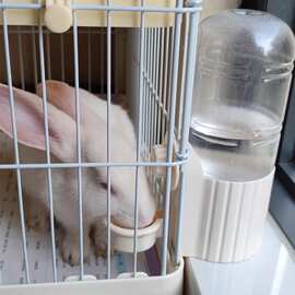 拉士格兔子专用水碗宠物笼悬挂式水壶猫咪饮水机狗狗喝水器喂水