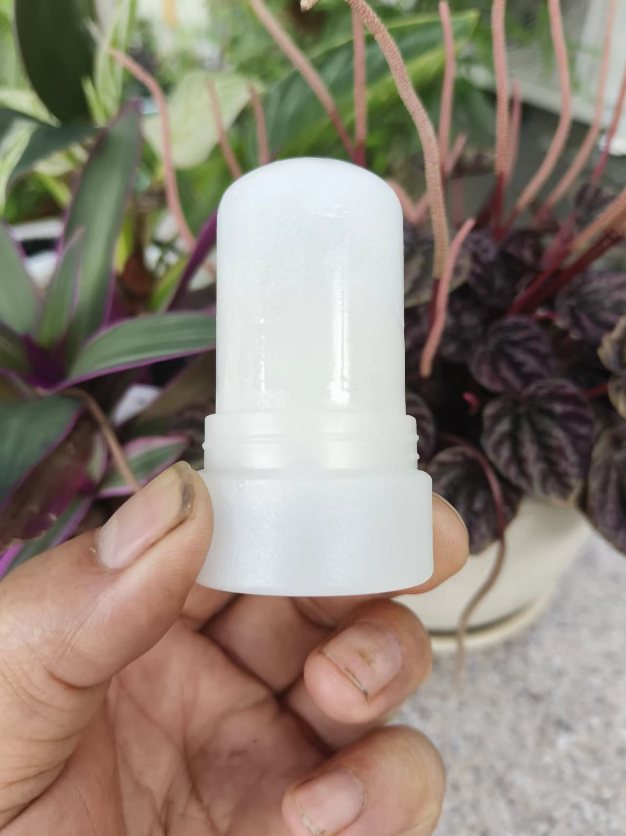 微信图片_20240618165810