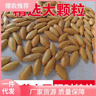 ����؛���L����ָ���Ϲ������˼׽��}ζԭζ�����Ϲ���Դ�^�l؛