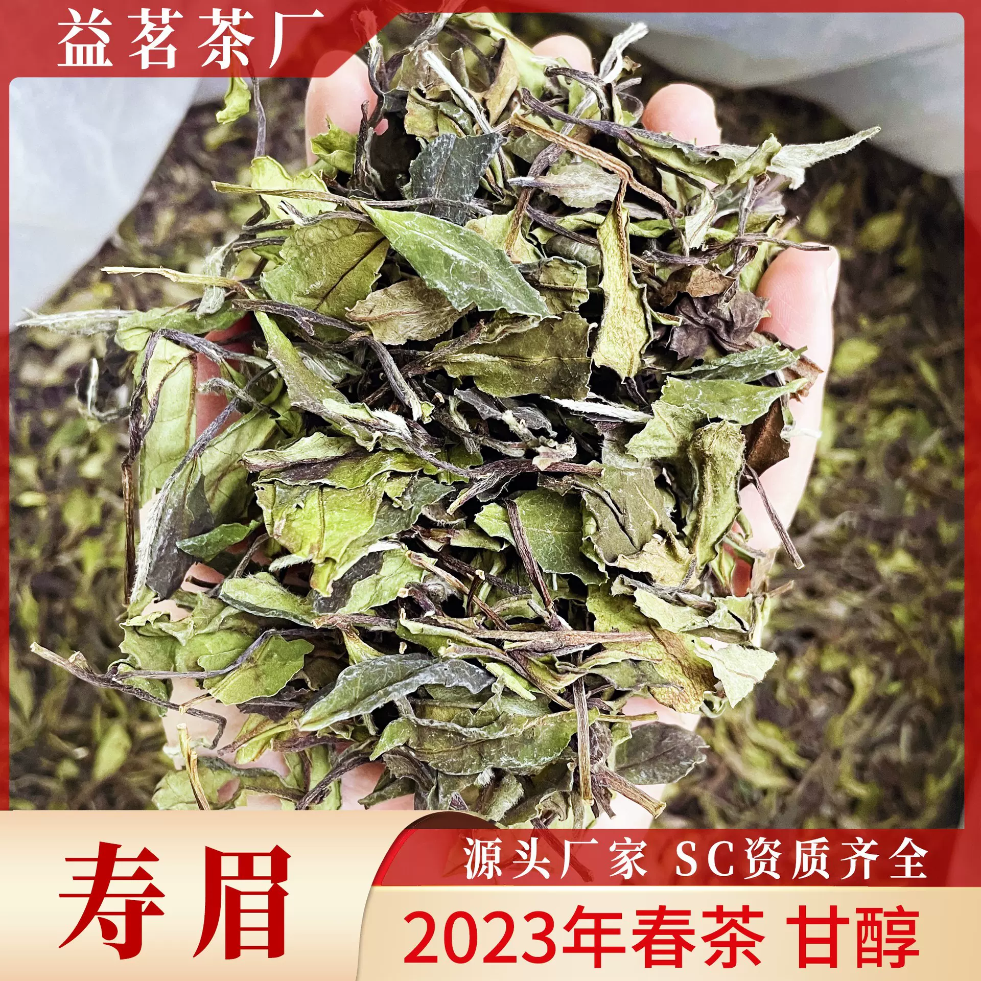 2023花香寿眉白茶春季茶叶散茶源头茶厂一手批发品鉴甜白春茶桂花