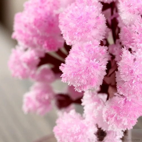 Decompression educational toy DIY experimental paper tree blooms colorful crystal Christmas tree magic cherry tree