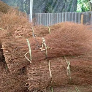 Manufacturers Supply Gongsong Grass Weaving Materials, Hand-Woven Binding Materials, Various Handicraft Materials
