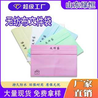 wow加工定制无纺布文件袋A4档案袋考试袋收纳 办公公文袋学生试卷