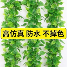 仿真葡萄叶藤条藤蔓植物树叶子管道吊顶装饰花藤假花塑料绿叶缠绕