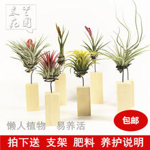 �k���҃ȿ՚��P���������o��ֲ������Gֲ���Ի���ľ���ײͶYƷ