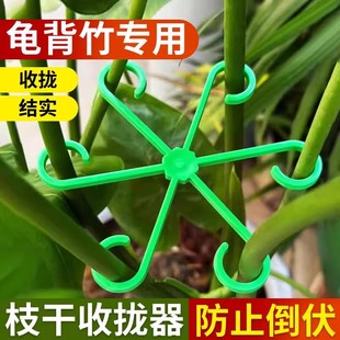 Monstera Fixator Support Anti-Tilting Spring Feather Bracket Branch Gathering Flower Pot Rack Gardening Florals Amaryllis Green Plants