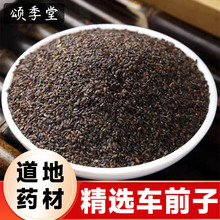 中药材正宗车前子新货车前籽车前子茶泡茶泡水车前草籽车前子茶