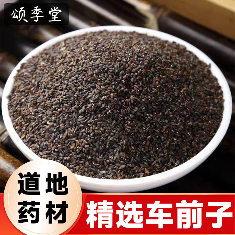 中药材正宗车前子新货车前籽车前子茶泡茶泡水车前草籽车前子茶