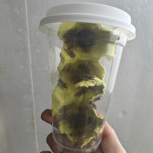 现货速发活体针头白蟋蟀油葫芦螳螂守宫鬃狮蜥蜴树蛙角蛙姥爷E18