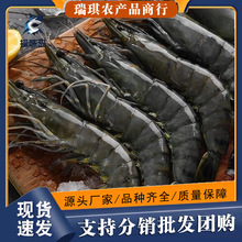 �ڻ��r�r����r�r���ك��Ź��r���rˮ�a��������r�ش��ϻ��r