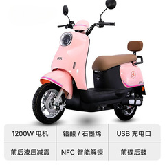 電気自動車の新型亀王電動バイク男女成人世代ステップ持続60V72V電気自動車