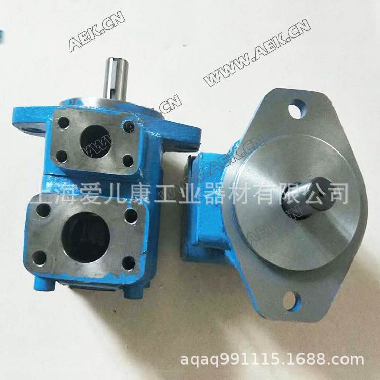 YBE-8/16 YBE-25 YBE-32 YBE-40 YBE-50 YBE-63 YBE/YB1-E叶片泵