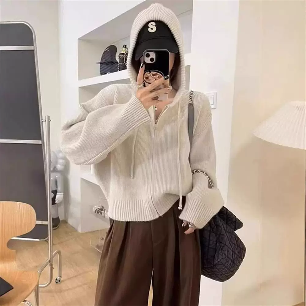 设计感拉链连帽毛衣开衫外套女宽松秋季新款短款气质针织衫上衣女