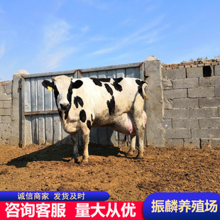 ��ţ�����u�ĺ�˹̹��ţ�r������s�� ��ľٝ��ţţ��