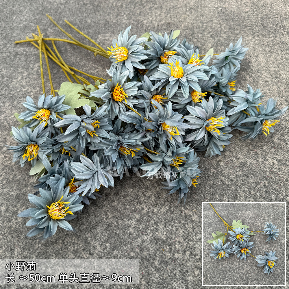 Wild chrysanthemum-haze Blue