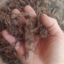 �����������С����ͨ����ȫ��؛��ș�Ŀ�����С����o�������Ҝ�