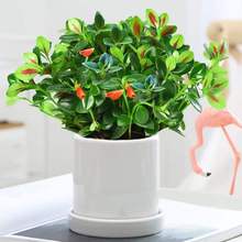 ���~���m�����ļ��^��ֲ����~���҃ȿ͏d�^��ֲ�ﶹ��G�ļ�����