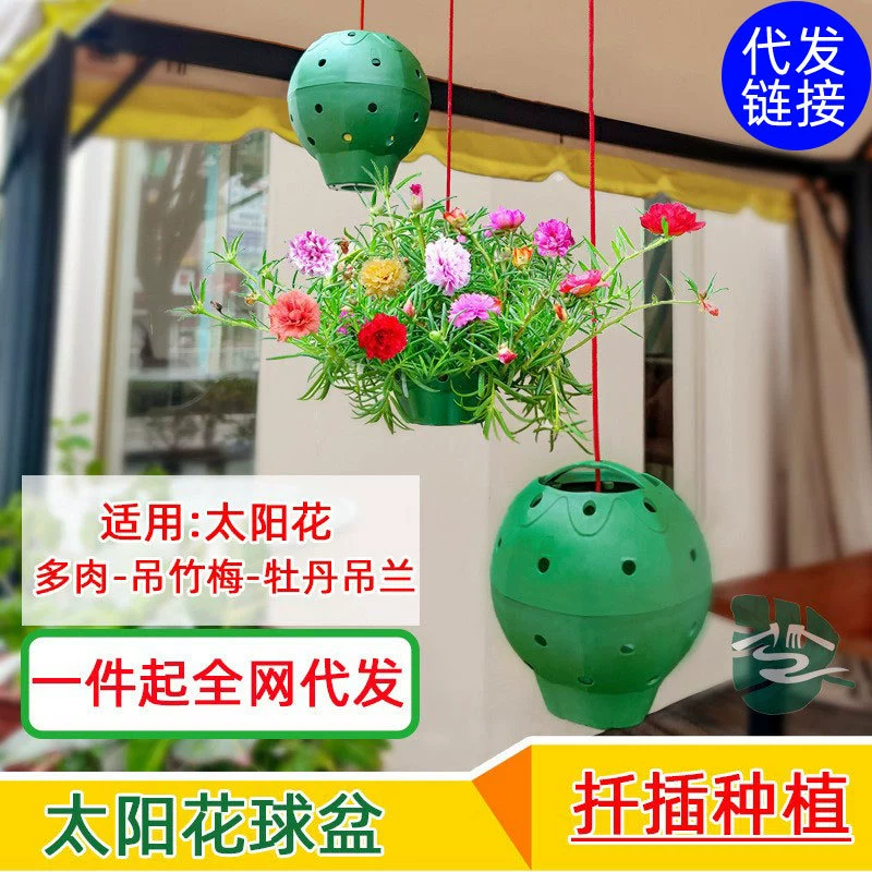 Пористый шариковый горшок подсолнечника для стрижки посадки мясистый подвесной бамбук Слива пион висит Орхидея скала посадка пористый цветочный шар горшок для моделирования стойки