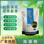 批发海藻精 有机水溶肥海藻酸 农用海藻素生物酶解海藻精
