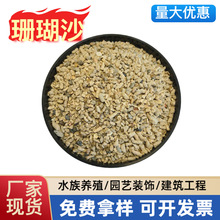 厂家供应鱼缸底沙污水处理净化鱼缸颗粒均匀贝类海色沙石珊瑚沙